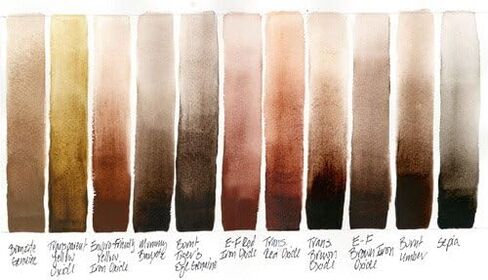 Daniel Smith Extra Fine Watercolor 15ml Paint Tube, Sepia (284600103), 0.5 Fl Oz (Pack of 1) in Saudi Arabia