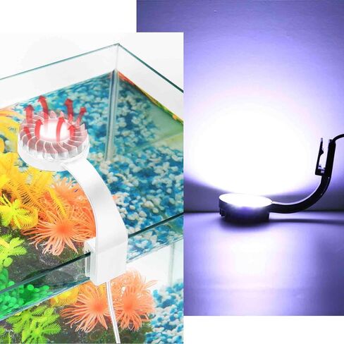 Small LED Aquarium Light for Fish Tank, 12 LEDs, White & Blue Clip on Fish Tank Light for Nano Tank, High Brightness Levels 5W USB Low Consumption Power Aquarium Clip Lamp with Switch in Saudi Arabia