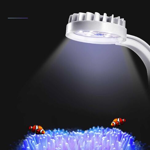 Small LED Aquarium Light for Fish Tank, 12 LEDs, White & Blue Clip on Fish Tank Light for Nano Tank, High Brightness Levels 5W USB Low Consumption Power Aquarium Clip Lamp with Switch in Saudi Arabia