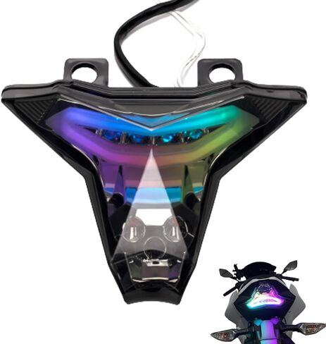 أضواء خلفية LED للدراجة النارية NINJA 400 2018-2024 Z400 Z250 Z400 Z1000 Z1000R ZX6R ZX10R ZX10RR ABS ضوء الفرامل الخلفي DRL مع إشارات الانعطاف مؤشر ديناميكي متسلسل in Kuwait