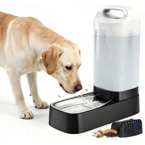 PETNF 2.4 Gallon Automatic Dog Water Bowl Dispenser with Filter in Saudi Arabia