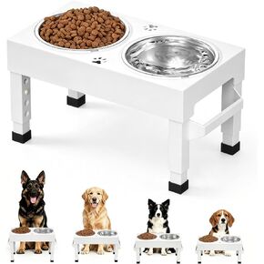 Elevated Dog Bowls Stand Large Breed, Height Adjustable Raised Dog Bowls Holder with 2 Stainless Steel Food Bowls for Small, Medium and Large Canine，White in Kuwait