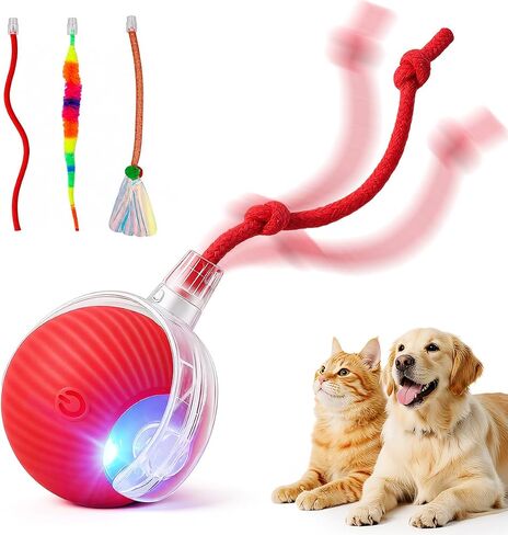 Interactive Automatic Rolling Electronic Stimulation Chase Ball Cat Dog Toy in Kuwait