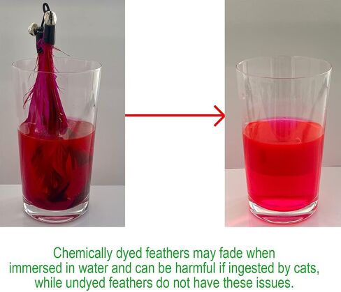 Cat Toys - No Chemical Dyeing Cat Feather Toys for Indoor Cats - Include Cat Wand and Natural Feather Refills in Kuwait