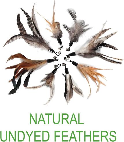 Cat Toys - No Chemical Dyeing Cat Feather Toys for Indoor Cats - Include Cat Wand and Natural Feather Refills in Kuwait