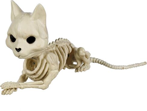 Crazy Bonez Cute Skeleton Cat in Kuwait