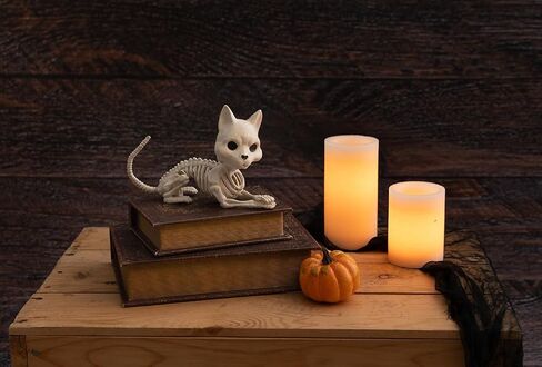 Crazy Bonez Cute Skeleton Cat in Kuwait