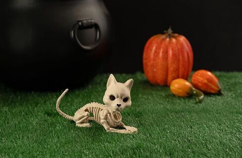 Crazy Bonez Cute Skeleton Cat in Kuwait