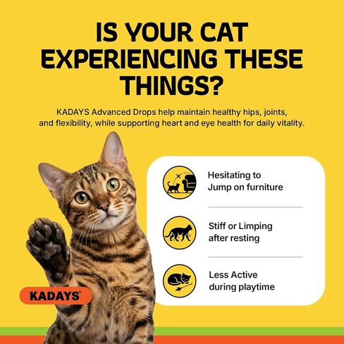 Liquid Glucosamine for Cats 2-Pack, Hip & Joint Pain Relief Drop Supplement in Kuwait