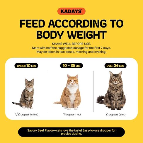 Liquid Glucosamine for Cats 2-Pack, Hip & Joint Pain Relief Drop Supplement in Kuwait
