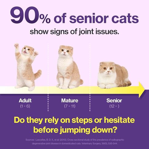 Doctor By HJ Care Cat Joint Supplement Hip&Joint Care Glucosamine for Cats Arthritis Pain Relief with Glucosamine & Chondroitin 30 lickable Formula Individually Packaged, Salmon (1 Pack) in Saudi Arabia