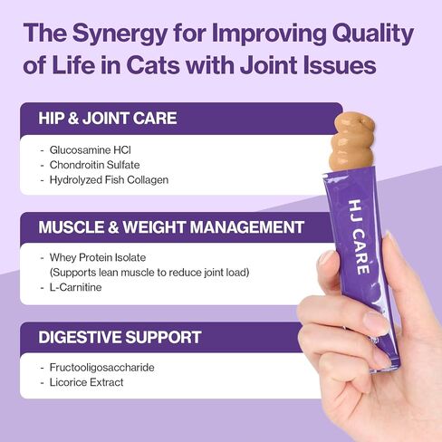 Doctor By HJ Care Cat Joint Supplement Hip&Joint Care Glucosamine for Cats Arthritis Pain Relief with Glucosamine & Chondroitin 30 lickable Formula Individually Packaged, Salmon (1 Pack) in Saudi Arabia