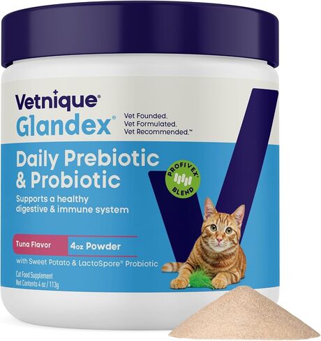 Vetnique Glandex for Cats, Anal Gland Powder & Fiber for Scooting in Saudi Arabia