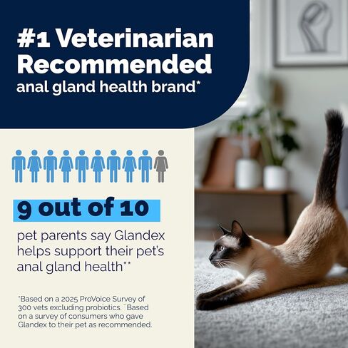 Vetnique Glandex for Cats, Anal Gland Powder & Fiber for Scooting in Kuwait