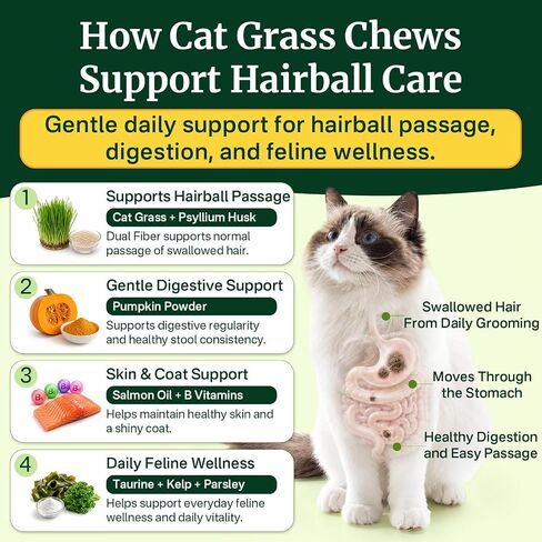 Cat Grass Treats Chews, Cat Treats for Indoor Cats 500 Ct, Hairball Control in Saudi Arabia