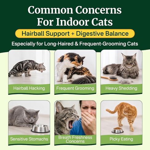 Cat Grass Treats Chews, Cat Treats for Indoor Cats 500 Ct, Hairball Control in Saudi Arabia