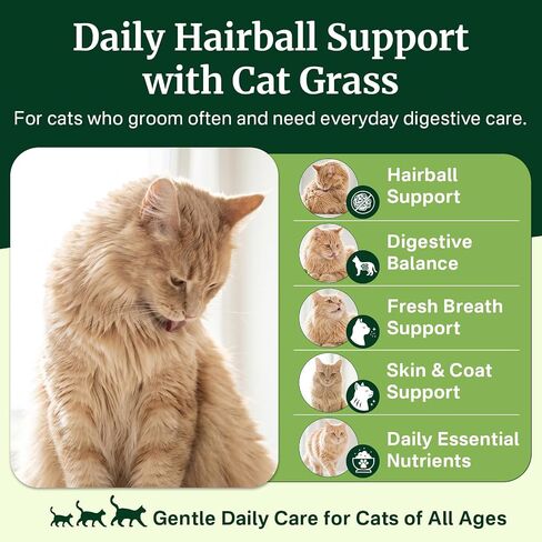 Cat Grass Treats Chews, Cat Treats for Indoor Cats 500 Ct, Hairball Control in Saudi Arabia