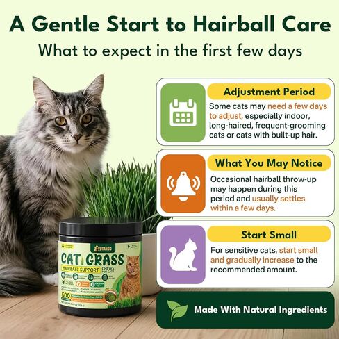 Cat Grass Treats Chews, Cat Treats for Indoor Cats 500 Ct, Hairball Control in Saudi Arabia