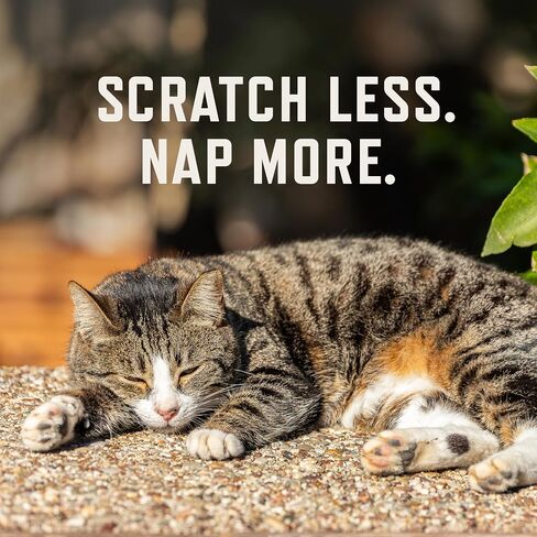 Rocco & Roxie Cat Seasonal Allergy Relief Chews, Probiotics & Fish Oil in Kuwait