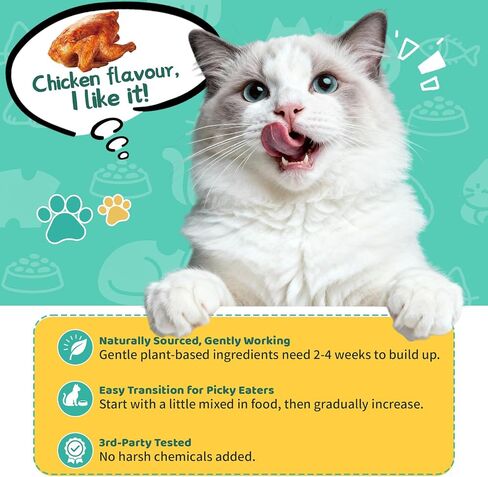 Allergy Relief for Cats, Cat Itchy Skin Relief - Omega 3 & Probiotic, 60ml in Saudi Arabia