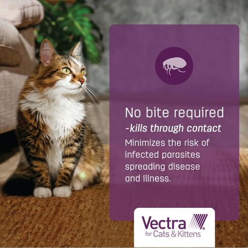 Vectra Flea Treatment for Cats Over 9 Lbs, 3 Monthly Supply in Saudi Arabia