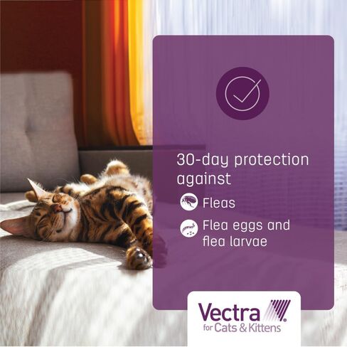 Vectra Flea Treatment for Cats Over 9 Lbs, 3 Monthly Supply in Saudi Arabia
