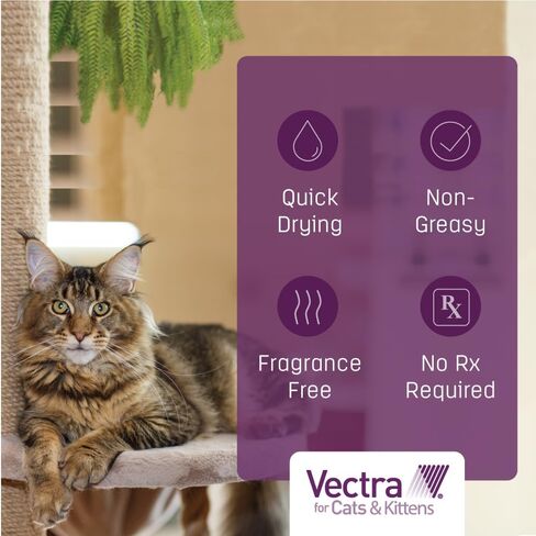 Vectra Flea Treatment for Cats Over 9 Lbs, 3 Monthly Supply in Saudi Arabia