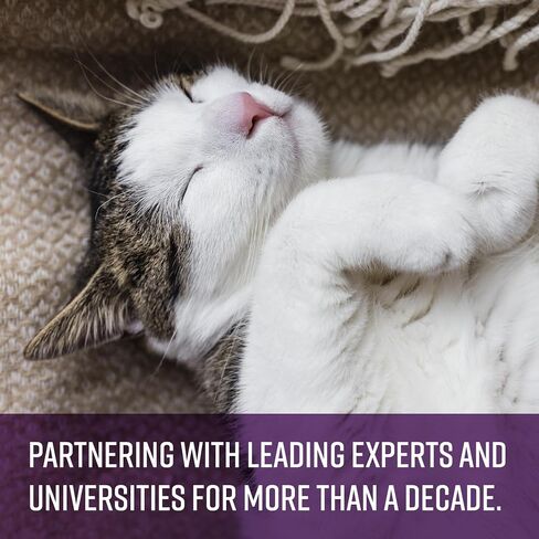 Sentry Calming Chews for Cats, Pheromone Stress Aid, 4oz in Saudi Arabia