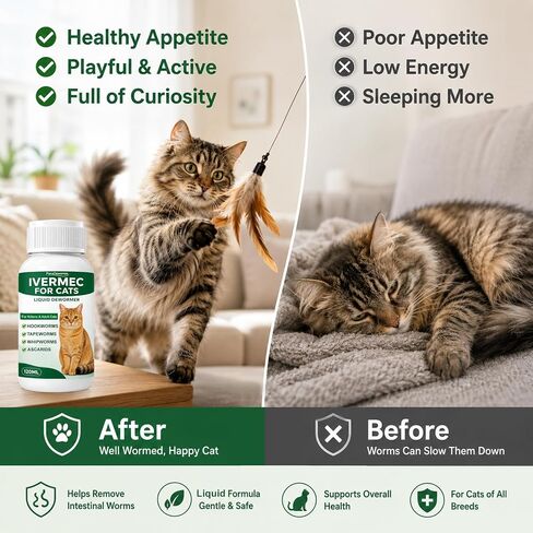 Dewormer for Cats Broad Spectrum Cat Dewormer for Tapeworms, Roundworms and Hookworms, Promotes Digestive Comfort in Kuwait
