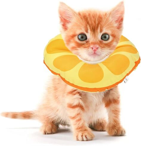 Kitten Cones After Surgery 0-6 Months, Donut Extra Small Cone Collar in Saudi Arabia