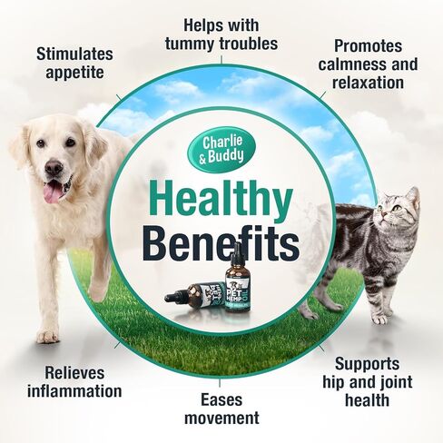 Hemp Oil for Dogs, Cats - Natural Calming Pet Anxiety, Stress & Pain Relief in Kuwait