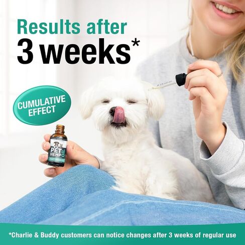 Hemp Oil for Dogs, Cats - Natural Calming Pet Anxiety, Stress & Pain Relief in Kuwait