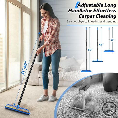 BUVE 2 in 1 Carpet Rake for Pet Hair Removal Tool in Kuwait