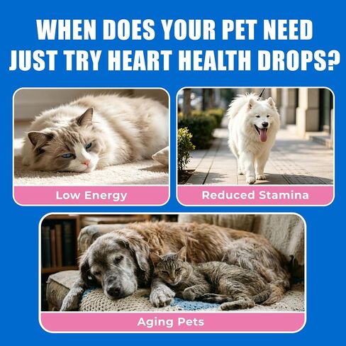 Just Try Heart Health Drops for Dogs & Cats, CoQ10 & Taurine 120ml in Kuwait