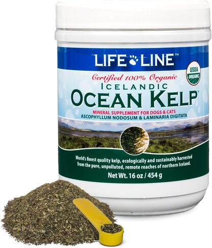 Life Line Organic Ocean Kelp Supplement for Dogs, Cats, Horses & Livestock | Natural Source of Iodine for Skin, Shiny Coat & Immune Support | Helps Reduce Tartar, Shedding & Aids Digestion – 1.5 lb in Kuwait
