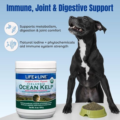 Life Line Organic Ocean Kelp Supplement for Dogs, Cats, Horses & Livestock | Natural Source of Iodine for Skin, Shiny Coat & Immune Support | Helps Reduce Tartar, Shedding & Aids Digestion – 1.5 lb in Kuwait