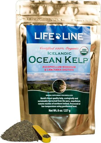 Life Line Organic Ocean Kelp Supplement for Dogs, Cats, Horses & Livestock | Natural Source of Iodine for Skin, Shiny Coat & Immune Support | Helps Reduce Tartar, Shedding & Aids Digestion – 1.5 lb in Kuwait