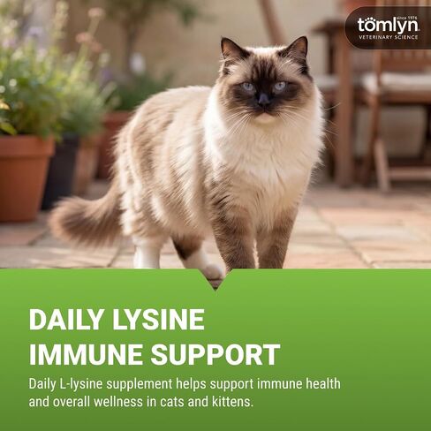 Tomlyn L-Lysine, Immune Support Chews for Cats, 30 Count in Kuwait