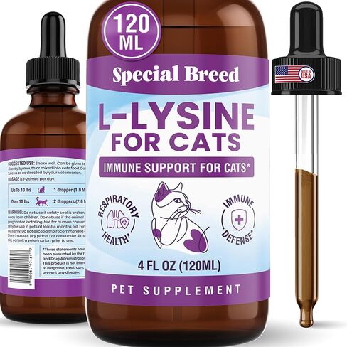 L-Lysine for Cats and Kittens – Immune, Respiratory and Eye Support – Cat Sneezing and Runny Nose Relief – Lysine Powder with Prebiotics, Krill, Bone Broth and DMG – 120 Servings in Saudi Arabia