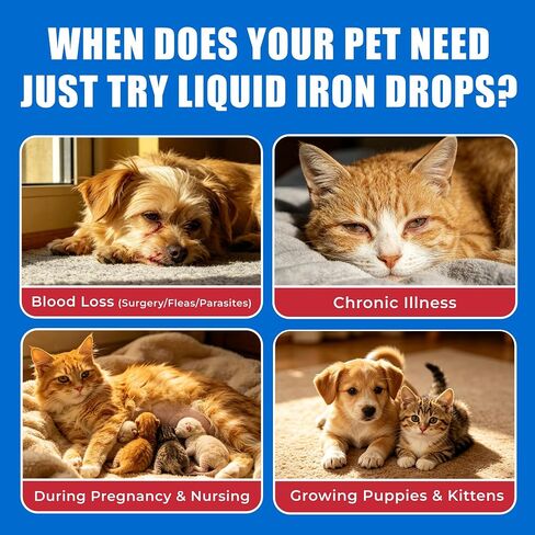 Just Try Iron Liquid Supplement, Iron for Dogs&Cats, Dog Supplements,4.06oz in Kuwait