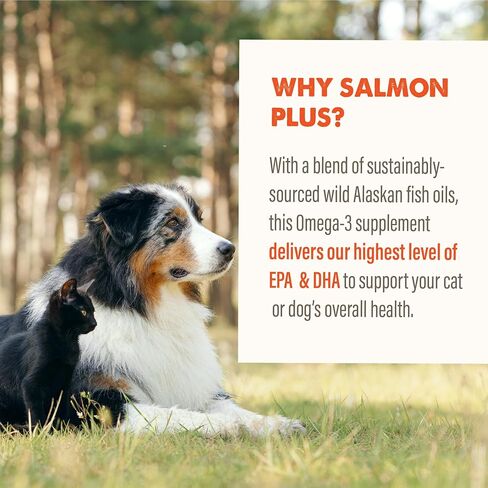 Grizzly Pet Products Salmon Plus Omega 3-6-9 Food Supplement for Dogs and Cats, 8 Ounce in Saudi Arabia