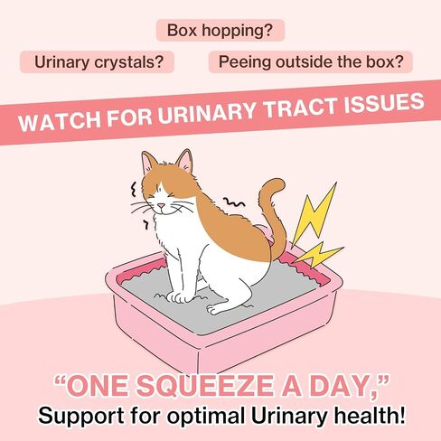Doctor By UT Care Cat UTI Kidney Support Urinary Supplement Cranberry Treatment for Cats Renal Health with Pacran, Quercetin, Taurine lickable Formula Individually Packaged (1 Pack) in Saudi Arabia