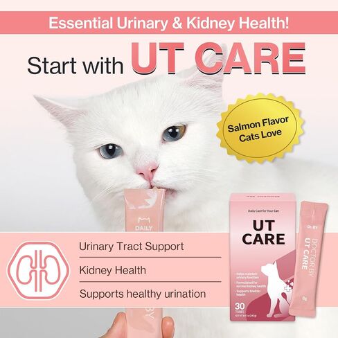 Doctor By UT Care Cat UTI Kidney Support Urinary Supplement Cranberry Treatment for Cats Renal Health with Pacran, Quercetin, Taurine lickable Formula Individually Packaged (1 Pack) in Saudi Arabia