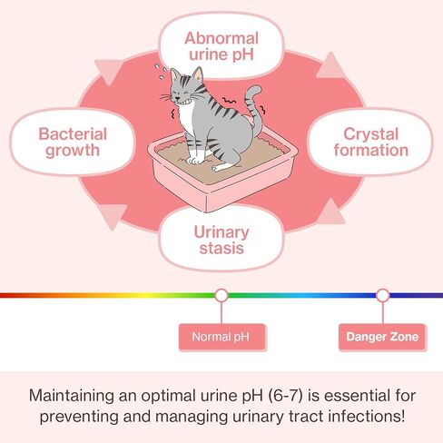 Doctor By UT Care Cat UTI Kidney Support Urinary Supplement Cranberry Treatment for Cats Renal Health with Pacran, Quercetin, Taurine lickable Formula Individually Packaged (1 Pack) in Saudi Arabia