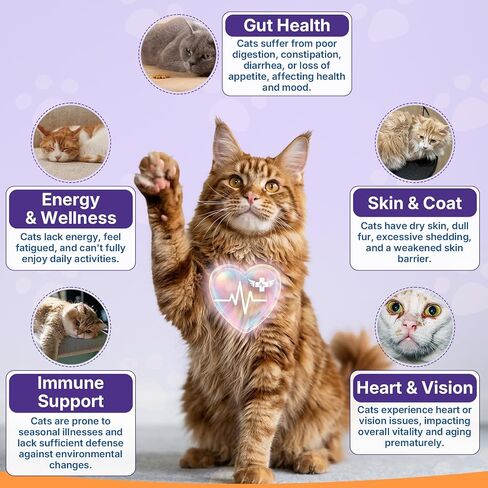 Taurine for Cats, Cat Vitamins & Multivitamin Treats, 500 Ct, Heart Support in Saudi Arabia