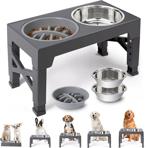 Elevated Dog Bowls with 5 Adjustable Heights Stand in Saudi Arabia