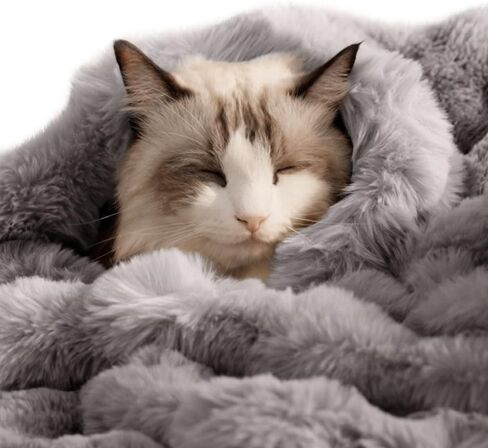 SOMAHE Soft Faux Fur Cat Blanket, Washable, Small 22x18 Dark Gray in Kuwait