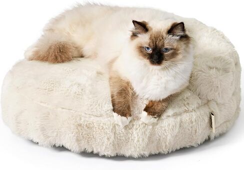 EHEYCIGA Soft Cat Couch Bed for Indoor Cats, Fluffy Small Dog Bed with Removable Washable Cover, Bolster Pet Sofa, Waterproof and Non-Slip, 24" x 24"x 7", Cream in Saudi Arabia