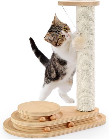 Made4Pets Kitten Toy Scratching Post for Indoor Cats with Ball Track in Saudi Arabia