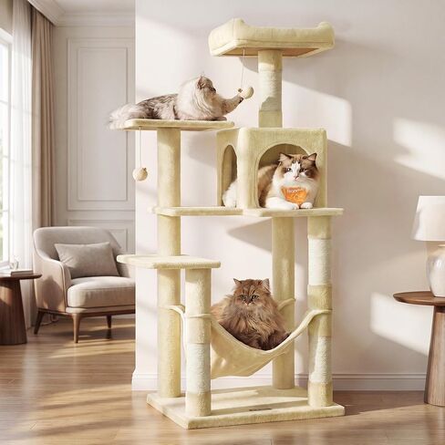 Feandrea Cat Tree ، برج القط مقاس 61 بوصة للقطط الداخلية ، شقة Cat متعددة المستويات الفخمة مع 5 وظائف خدش ، عثمان ، 2 كهوف ، أرجوحة ، 2 بومبوم ، رمادي رمادي فتيش 192W01 in Saudi Arabia
